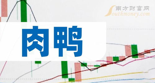 肉鸭概念股盘点 2024年2月8日家禽销售技术服务企业梳理