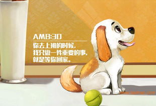 逗爱DogCare 以狗体工程学为核心，打造100分宠物关怀体验