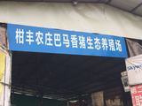 云安区柑丰合作社 以技术服务赋能家禽销售新路径