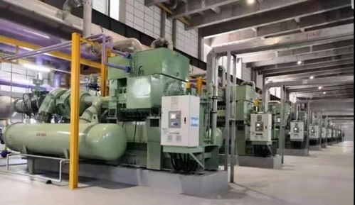 从卖产品到卖服务 家禽企业如何实现高增值转型